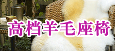 澳皮王(天津)皮业有限公司