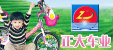 河北正大车业有限公司