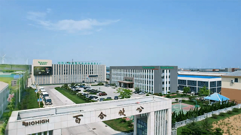 ȫٺϿ̹ھмأ8ܹȫ