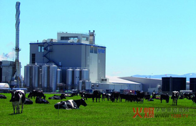 光明乳业子公司新莱特乳业收购奥克兰奶粉厂-