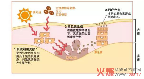 大领导祛斑美白 只讲效果不讲故事-产品资讯|火