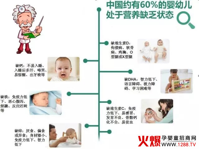 小袋熊婴幼儿营养包系列上市啦