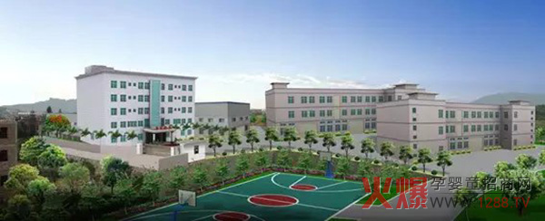 怡儿乐纸尿裤自带流量,门店淡季引流、走量,全