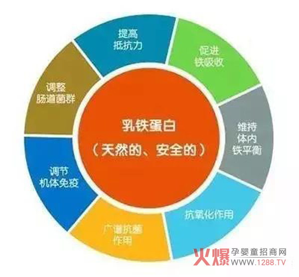 乳铁蛋白的功效和作用你知道吗?真滋元告诉你