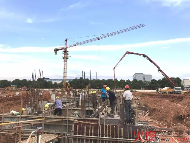 沙政府领导孔玉成一行调研澳优乳业智慧工厂-