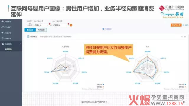 2017年中国互联网母婴市场现状分析及用户图