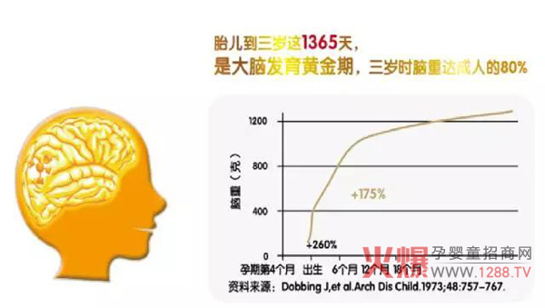 种太阳藻油DHA 新西兰原装进口 源自奥运品质