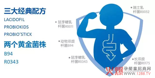 种太阳是如何成为全能冠军的 拉曼LHS大中华区大BOSS告诉你-产品资讯|火爆孕婴童招商网