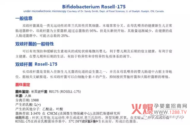 种太阳是如何成为全能冠军的 拉曼LHS大中华