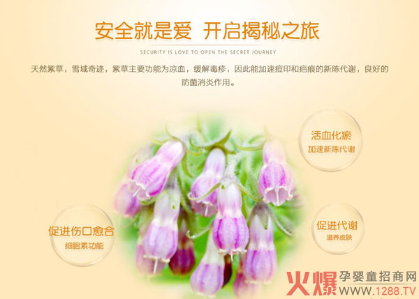 奇氏婴儿紫草膏 草本配方防过敏-产品资讯|火爆