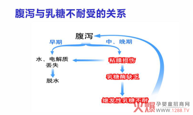 辨证分析才能施治! 首先,我们来分析什么是乳糖不耐受? 1.
