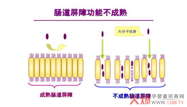宝宝牛奶蛋白过敏怎么办?广药白云山制定完美