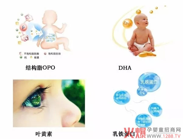 纽奶乐配方奶粉通过国家注册 源自新西兰黄金