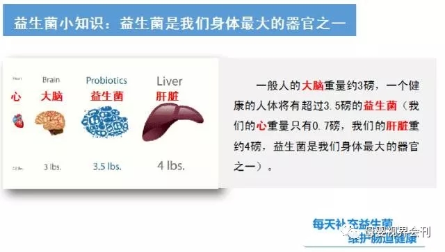 什么是益生菌.webp.jpg