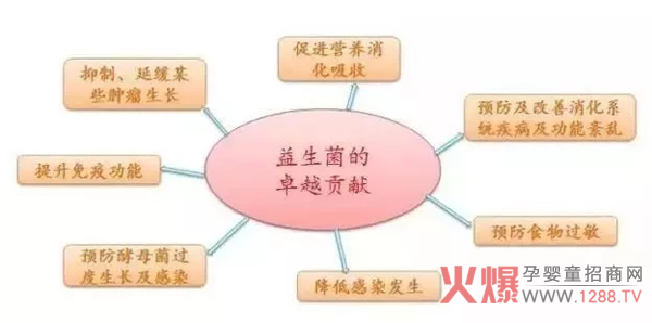 益生菌的貢獻.jpg 益生菌的貢獻.jpg