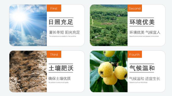 产品产地环境.jpg 产品产地环境.jpg