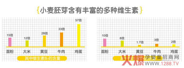 小麦胚芽营养.jpg 小麦胚芽营养.jpg