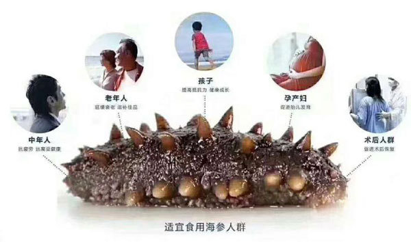 虫草、燕窝、西洋参等高端中草药材,究竟对人体有何益处?