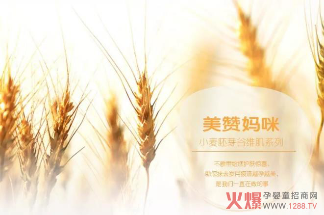 美贊媽咪谷維肌.jpg