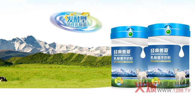 經(jīng)典善愛(ài)乳酸菌羊奶粉介紹.jpg