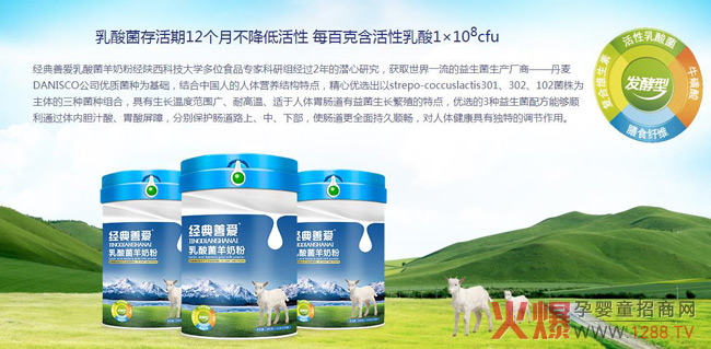 經(jīng)典善愛(ài)乳酸菌羊奶粉圖.jpg