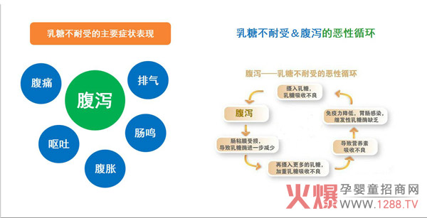 迪适兰托教你:全面了解乳糖、乳糖酶、乳糖不耐受