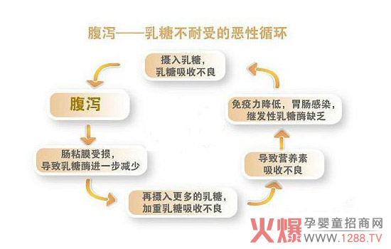 如何区分乳糖不耐受与蛋白质过敏 | DISLANTO