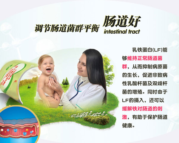 贝因美臻爱幼儿配方奶粉3段908g介绍08.jpg