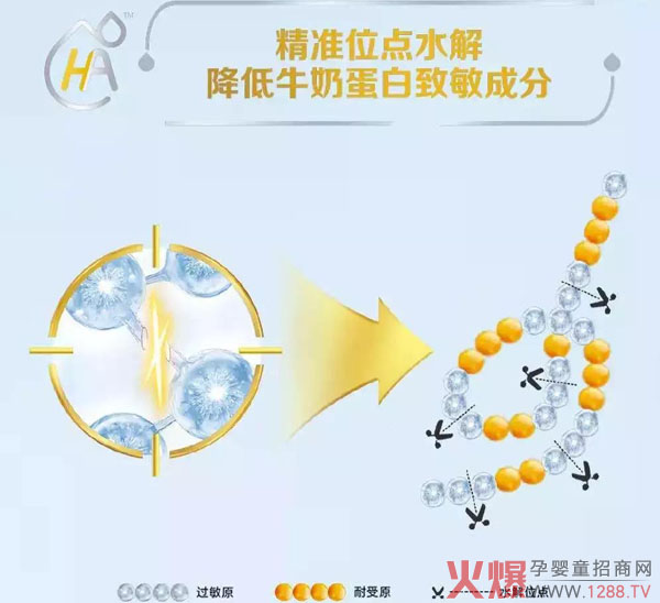 奶粉 亲和成长水解乳清蛋白配方奶粉产品特点: 1,采用蛋白质水解配方