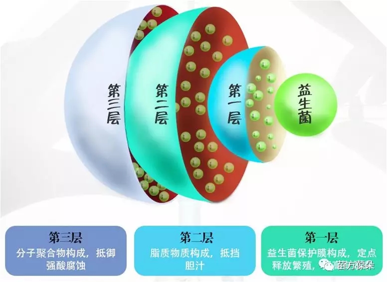 葆朵益生菌 六联益生菌三层包埋技术