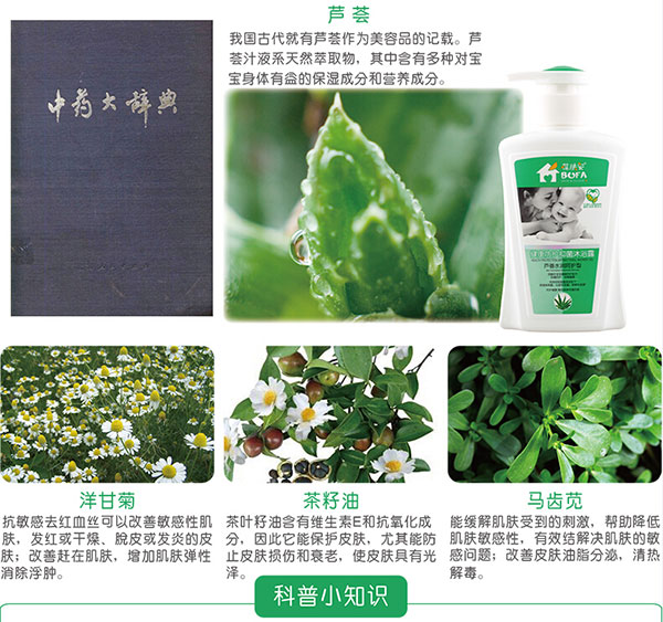 蘆薈.jpg