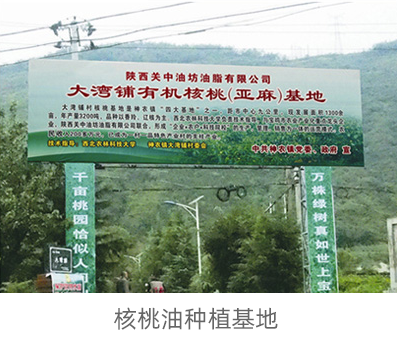 核桃油種植基地
