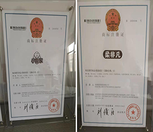  資質(zhì)證書