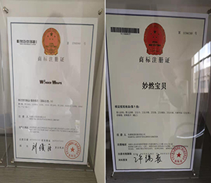  資質(zhì)證書