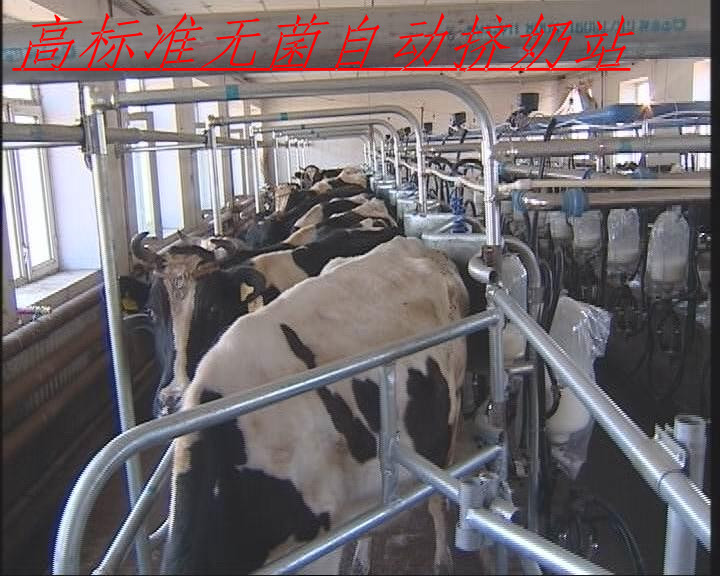  暴風截圖2012621520859_副本