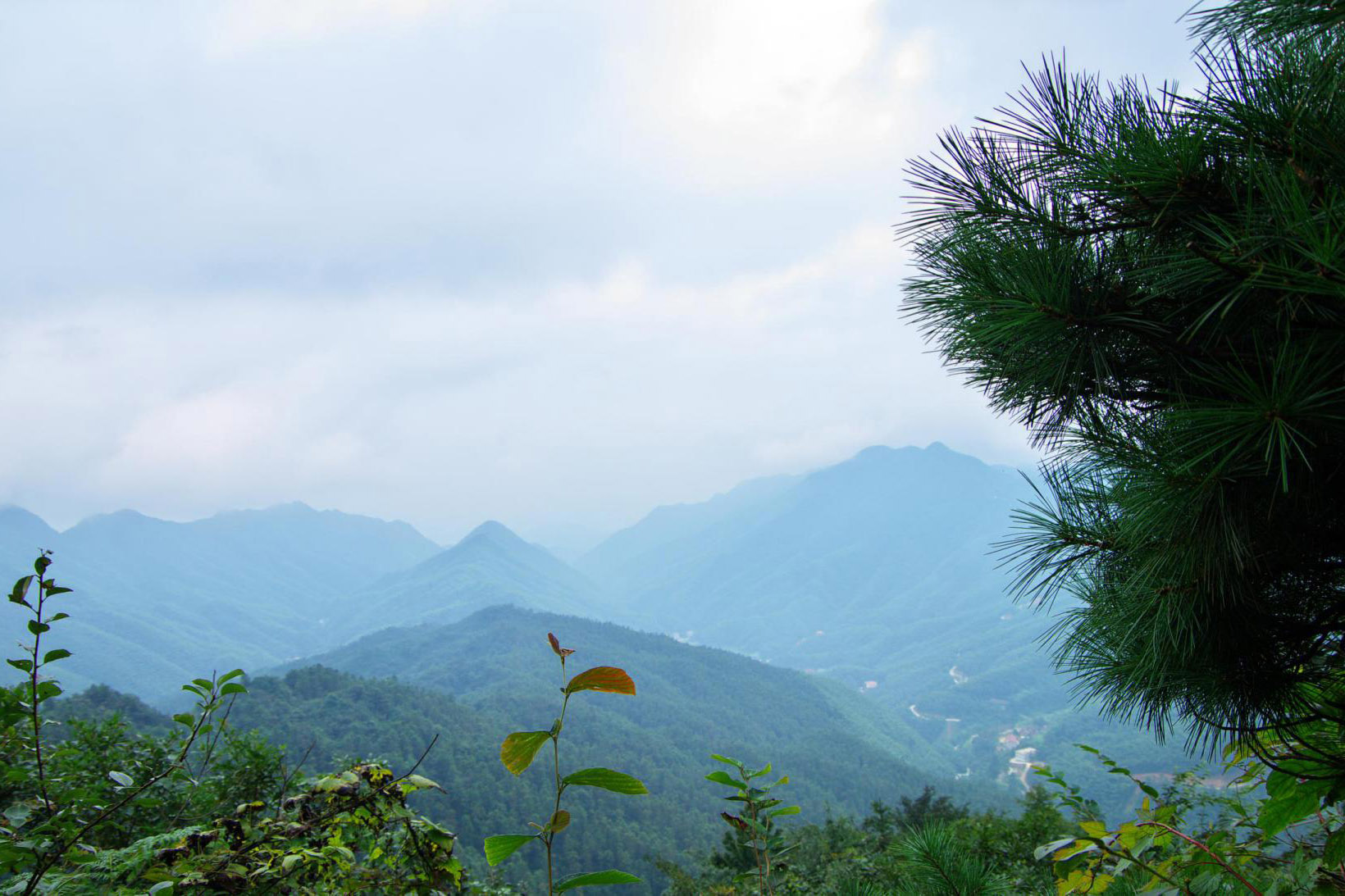 種植基地11.jpg