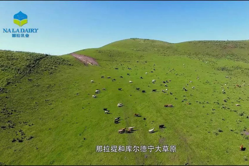  牧場