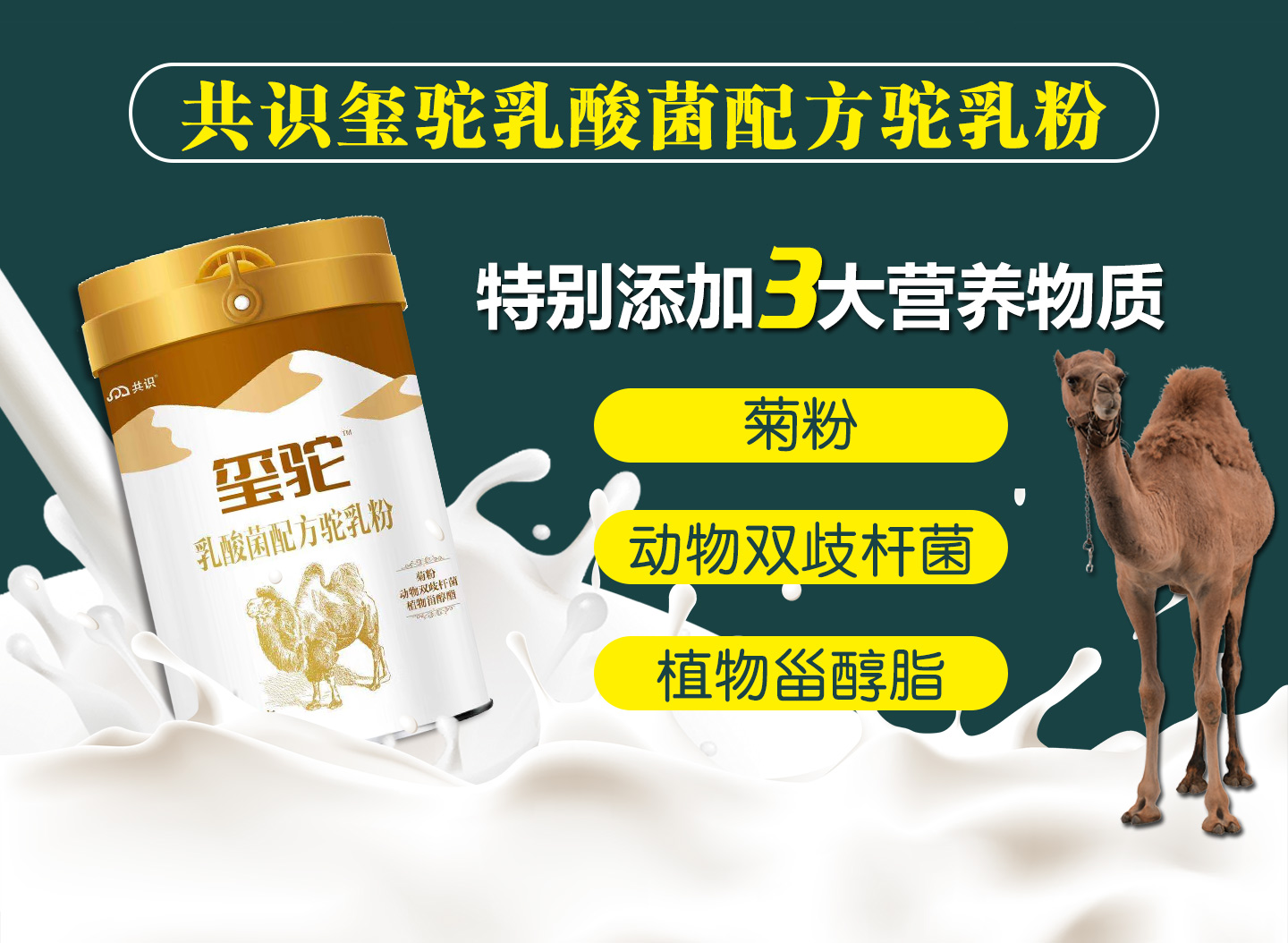 共识玺驼乳酸菌配方驼乳粉