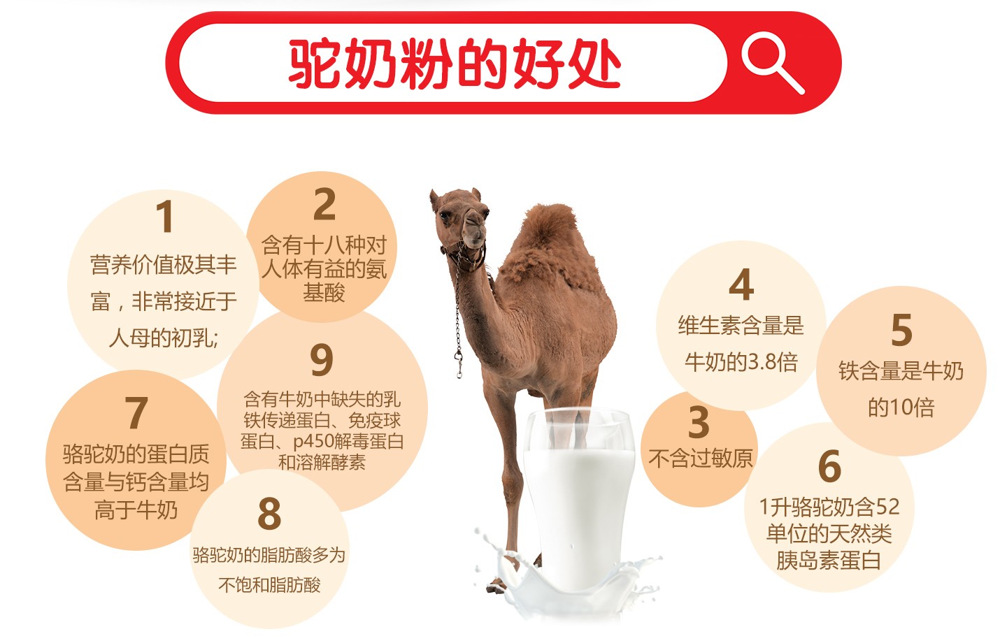  驼乳粉的好处