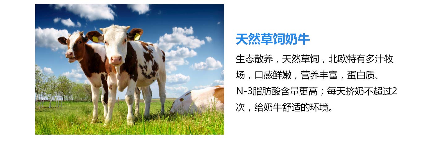  圣元優(yōu)強(qiáng)奶粉06