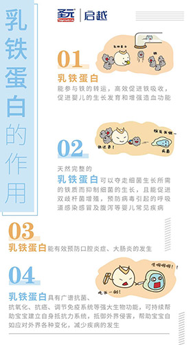  圣元啟越乳鐵蛋白1