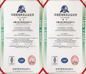  環(huán)境管理體系認證證書