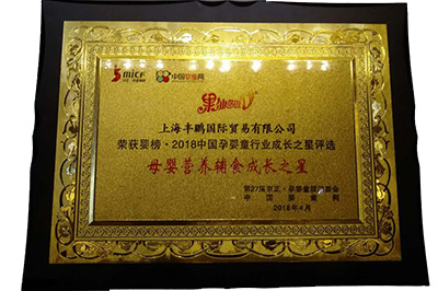  2018中国孕婴童行业成长之星