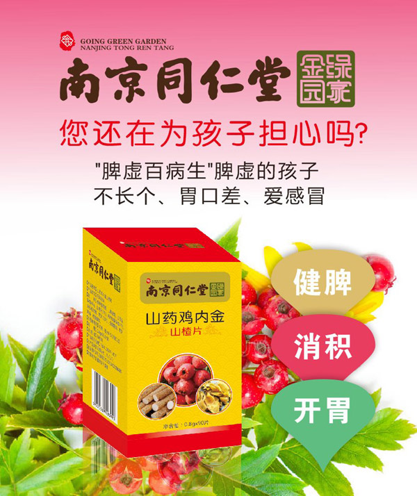  南京同仁堂山藥雞內(nèi)金山楂片1