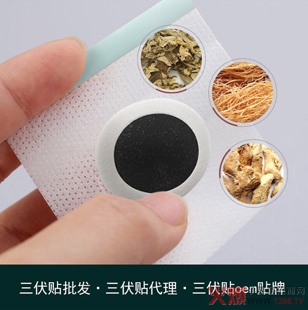 三伏贴厂家招商代理免费提供三伏贴样品彩页
