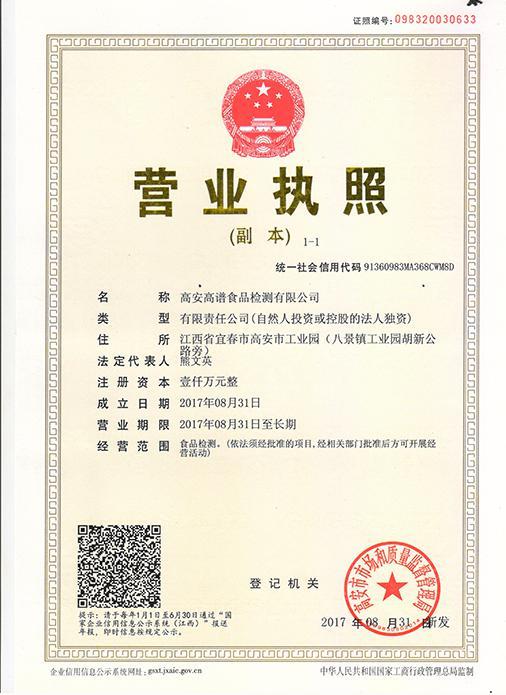  資質(zhì)證書(shū) (12)