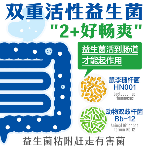 诺因美益生菌羊奶粉02