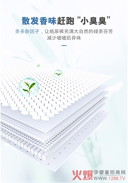 鵲小七彈無(wú)痕拉拉褲茶多酚因子.jpg