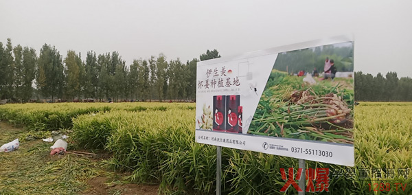 熱烈歡迎伊生美代理商走進(jìn)懷姜種植基地和生產(chǎn)廠(chǎng)房參觀(guān)學(xué)習1.jpg 熱烈歡迎伊生美代理商走進(jìn)懷姜種植基地和生產(chǎn)廠(chǎng)房參觀(guān)學(xué)習1.jpg