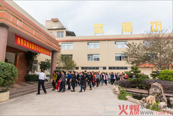 膚叮當抑菌膏攜手火爆孕嬰童網(wǎng)重磅招商2.jpg